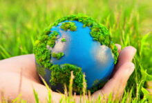 Photo of Новый закон о защите окружающей среды