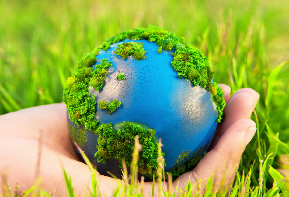 Фото 39 — Новый закон о защите окружающей среды