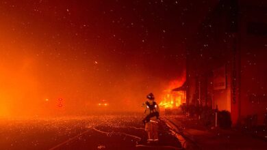 Photo of Пожары в Калифорнии вышли из-под контроля